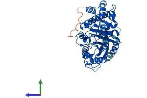 AlphaFold protein structure predicition of Human Recombinant GNA12 Protein, UniprotID Q03113 (GNA12 Protein (AA 1-381) (His tag))