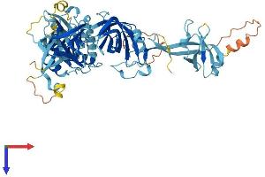 AlphaFold protein structure predicition of Human Recombinant EEFSEC Protein, UniprotID P57772
