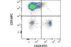 Flow cytometry multicolor surface staining of human lymphocytes using anti-human CD16 (LNK16) FITC antibody (20 μL reagent / 100 μL of peripheral whole blood) and anti-human CD3 (UCHT1) APC antibody (10 μL reagent / 100 μL of peripheral whole blood). (CD16 anticorps  (FITC))