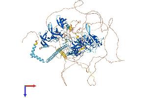 AlphaFold protein structure predicition of Mouse Recombinant Setdb1 Protein, UniprotID O88974