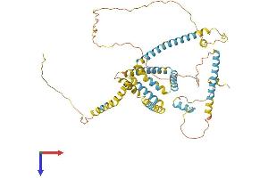AlphaFold protein structure predicition of Mouse Recombinant Retreg1 Protein, UniprotID Q8VE91