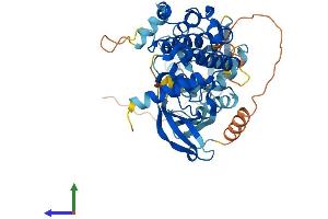 AlphaFold protein structure predicition of Human Recombinant MAP2K5 Protein, UniprotID Q13163
