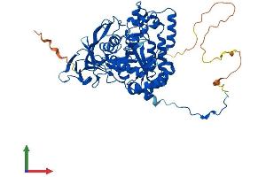 AlphaFold protein structure predicition of Human Recombinant DPYSL3 Protein, UniprotID Q14195