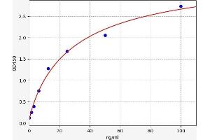 Typical standard curve (IGJ Kit ELISA)