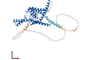 AlphaFold protein structure predicition of Human Recombinant KCNK9 Protein, UniprotID Q9NPC2