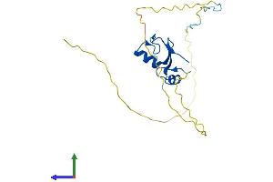AlphaFold protein structure predicition of Human Recombinant RNF4 Protein, UniprotID P78317