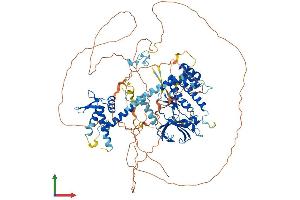 AlphaFold protein structure predicition of Human Recombinant PAN3 Protein, UniprotID Q58A45