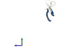 AlphaFold protein structure predicition of Human Recombinant KRT19 Protein, UniprotID P08727