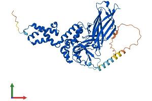 AlphaFold protein structure predicition of Mouse Recombinant Fbxo3 Protein, UniprotID Q9DC63