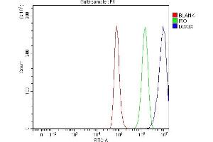 Flow Cytometry analysis of A549 cells using anti-ADAR1/ADAR antibody (ABIN7603211). (DDX3X anticorps  (N-Term))