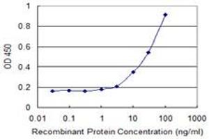 Detection limit for recombinant GST tagged CA10 is 1 ng/ml as a capture antibody. (CA10 anticorps  (AA 229-328))