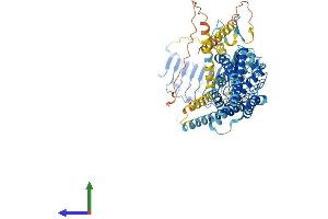 AlphaFold protein structure predicition of Human Recombinant RXFP2 Protein, UniprotID Q8WXD0