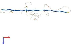 AlphaFold protein structure predicition of Mouse Recombinant Poc5 Protein, UniprotID Q9DBS8