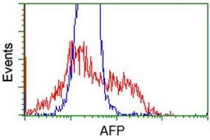 HEK293T cells transfected with either RC206622 overexpress plasmid (Red) or empty vector control plasmid (Blue) were immunostained by anti-AFP antibody (ABIN2452708), and then analyzed by flow cytometry. (alpha Fetoprotein anticorps)