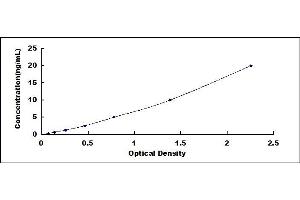 Dopamine Receptor D3 (DRD3) ELISA Kit