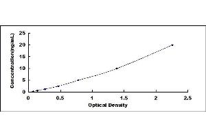 Typical standard curve (DRD3 Kit ELISA)