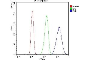 Flow Cytometry analysis of A431 cells using anti-PML antibody (ABIN4886699).