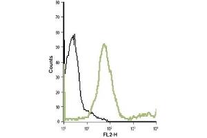 Cell surface detection of mGluR7 in live intact human T cell leukemia (Jurkat) cell line: (black line) Unstained cells + goat-anti-rabbit-PE.