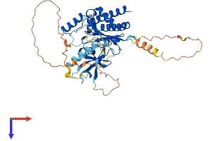 AlphaFold protein structure predicition of Human Recombinant IP6K1 Protein, UniprotID Q92551