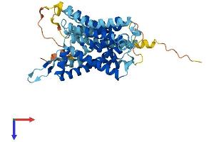 AlphaFold protein structure predicition of Human Recombinant SLC35B2 Protein, UniprotID Q8TB61