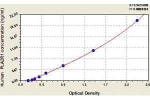 phospholipase A2 Receptor 1, 180kDa (PLA2R1) ELISA Kit