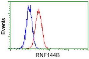 Image no. 3 for anti-Ring Finger Protein 144B (RNF144B) (AA 1-256) antibody (ABIN1490644) (RNF144B anticorps  (AA 1-256))
