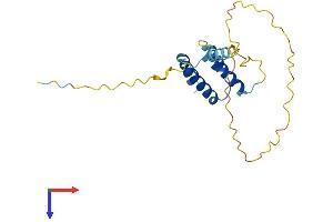 CT45A10 (AA 1-189) protein (His tag)