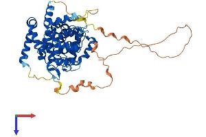 AlphaFold protein structure predicition of Human Recombinant TBC1D10C Protein, UniprotID Q8IV04