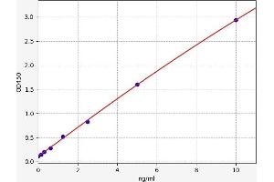 Doublecortin (DCX) ELISA Kit