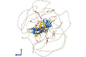 AlphaFold protein structure predicition of Mouse Recombinant Plekhg2 Protein, UniprotID Q6KAU7