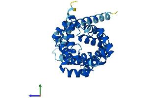 AlphaFold protein structure predicition of Mouse Recombinant Slc25a5 Protein, UniprotID P51881