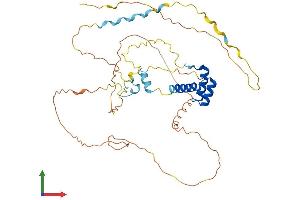 AlphaFold protein structure predicition of Mouse Recombinant En1 Protein, UniprotID P09065