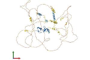 AlphaFold protein structure predicition of Human Recombinant LIMA1 Protein, UniprotID Q9UHB6