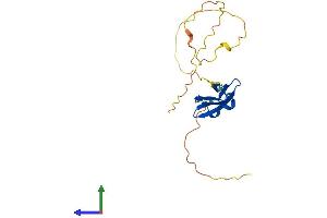 AlphaFold protein structure predicition of Human Recombinant HSPB8 Protein, UniprotID Q9UJY1
