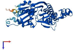 AlphaFold protein structure predicition of Human Recombinant PANK3 Protein, UniprotID Q9H999