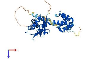 AlphaFold protein structure predicition of Human Recombinant TRADD Protein, UniprotID Q15628