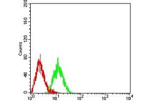 Flow cytometric analysis of HL-60 cells using LRP3 mouse mAb (green) and negative control (red). (LRP3 anticorps  (AA 43-184))