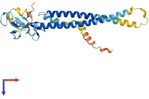 AlphaFold protein structure predicition of Human Recombinant TRIM40 Protein, UniprotID Q6P9F5
