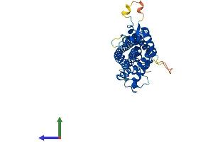AlphaFold protein structure predicition of Mouse Recombinant Pex3 Protein, UniprotID Q9QXY9