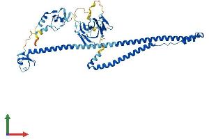 AlphaFold protein structure predicition of Mouse Recombinant Trim31 Protein, UniprotID Q8R0K2
