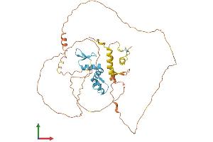 AlphaFold protein structure predicition of Mouse Recombinant Ikzf5 Protein, UniprotID Q8BU00