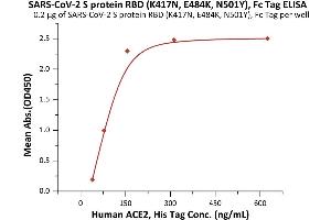 Immobilized SARS-CoV-2 S protein RBD (K417N, E484K, N501Y), Fc Tag (ABIN6992400) at 2 μg/mL (100 μL/well) can bind Human ACE2, His Tag (ABIN6952618,ABIN6952641) with a linear range of 39-156 ng/mL (QC tested).