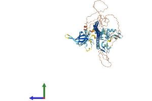 AlphaFold protein structure predicition of Mouse Recombinant Trim42 Protein, UniprotID Q9D2H5