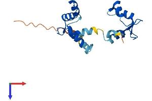 AlphaFold protein structure predicition of Mouse Recombinant Myl12b Protein, UniprotID Q3THE2