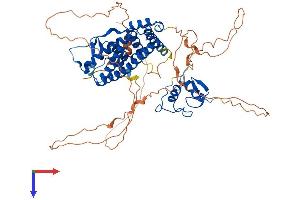 AlphaFold protein structure predicition of Human Recombinant ESR1 Protein, UniprotID P03372