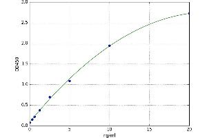 A typical standard curve