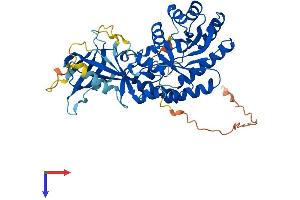 AlphaFold protein structure predicition of Mouse Recombinant Azin2 Protein, UniprotID Q8BVM4