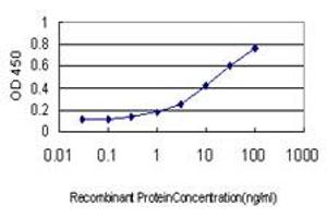 Detection limit for recombinant GST tagged NAAA is approximately 0.