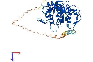 AlphaFold protein structure predicition of Human Recombinant ST8SIA2 Protein, UniprotID Q92186