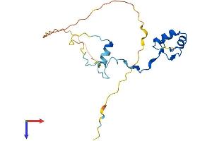 AlphaFold protein structure predicition of Human Recombinant INO80C Protein, UniprotID Q6PI98